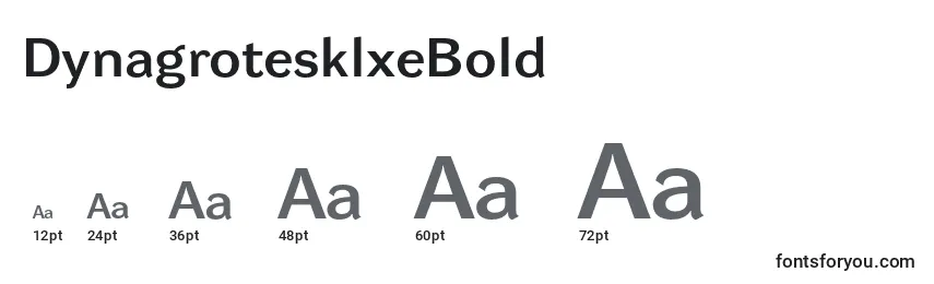 DynagrotesklxeBold Font Sizes