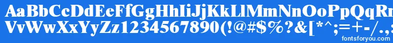 フォントTimesetx – 青い背景に白い文字