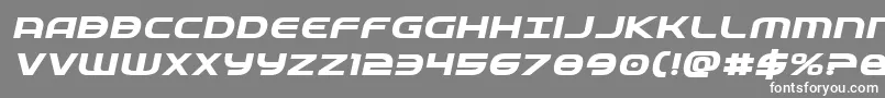 Fedserviceexpboldital Font – White Fonts on Gray Background