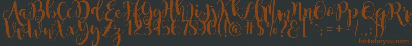 MagnoliaSky Font – Brown Fonts on Black Background