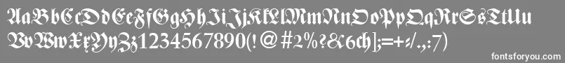 ZenturydbNormal Font – White Fonts on Gray Background