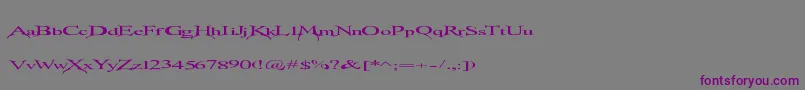 Transmutation-fontti – violetit fontit harmaalla taustalla