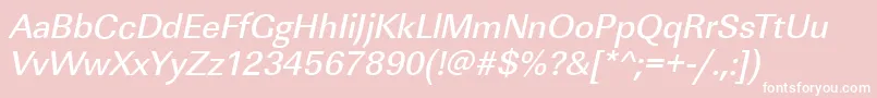 LinearstdMediumItalic Font – White Fonts on Pink Background