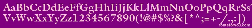 GalliardstdBold Font – Pink Fonts on Purple Background