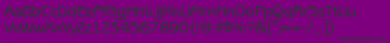 B691SansMediumRegular Font – Black Fonts on Purple Background