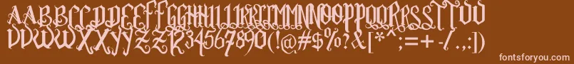 RomFtlGthVrsl Font – Pink Fonts on Brown Background