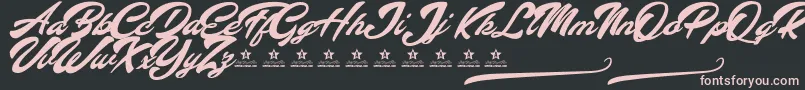 AltavistaPersonalUse Font – Pink Fonts on Black Background