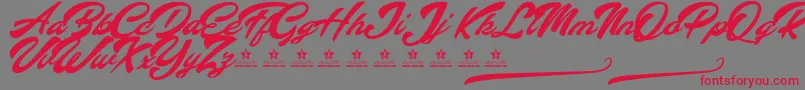 AltavistaPersonalUse Font – Red Fonts on Gray Background