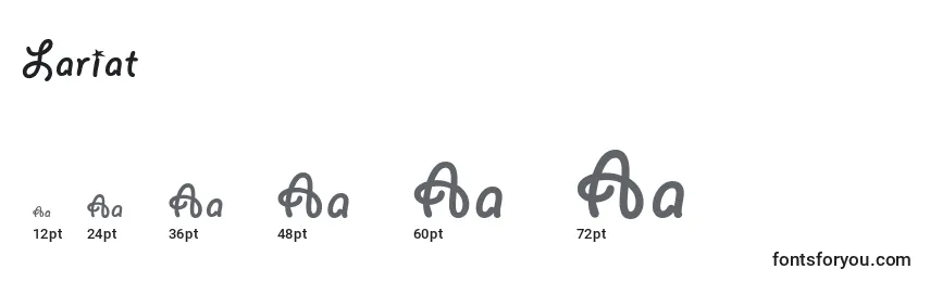 Größen der Schriftart Lariat