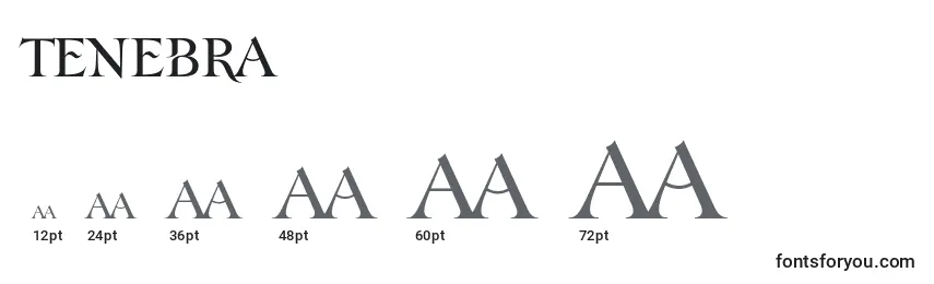 Размеры шрифта Tenebra