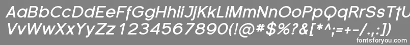 フォントSfflorencesansBolditalic – 灰色の背景に白い文字