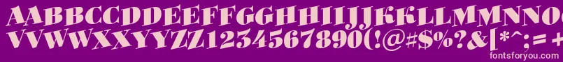 Bodoniortotitulspupblack Font – Pink Fonts on Purple Background