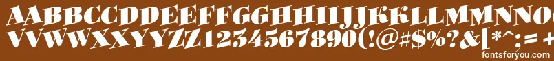 Bodoniortotitulspupblack Font – White Fonts on Brown Background