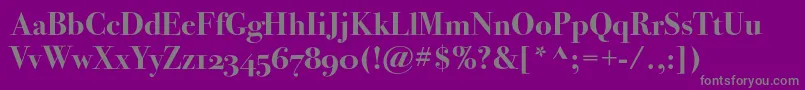Bodoni72oscBold-Schriftart – Graue Schriften auf violettem Hintergrund