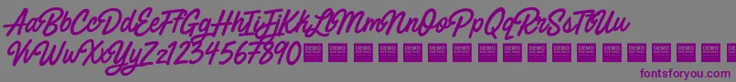 PaintedParadiseDemo Font – Purple Fonts on Gray Background