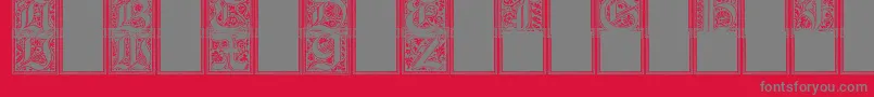 CamelotInitials-Schriftart – Graue Schriften auf rotem Hintergrund