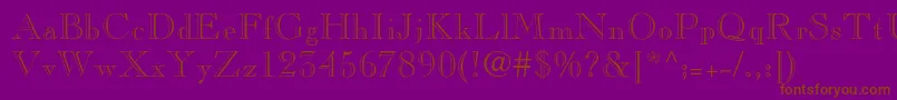 Pinchi Font – Brown Fonts on Purple Background