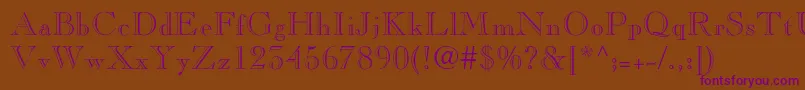 Pinchi Font – Purple Fonts on Brown Background