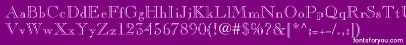 Pinchi Font – White Fonts on Purple Background