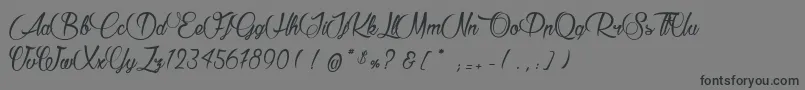 RaisinDesSables Font – Black Fonts on Gray Background