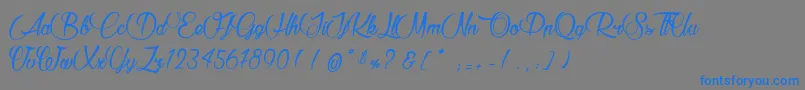 RaisinDesSables Font – Blue Fonts on Gray Background