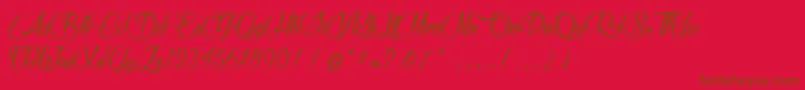 RaisinDesSables Font – Brown Fonts on Red Background