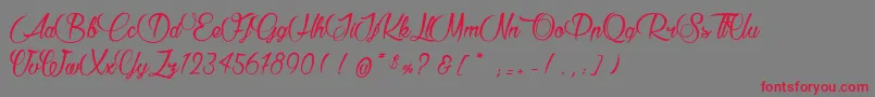 RaisinDesSables Font – Red Fonts on Gray Background