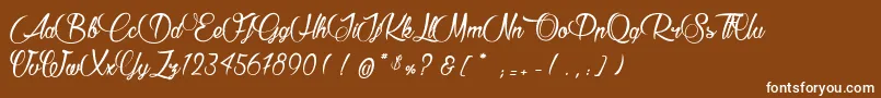RaisinDesSables Font – White Fonts on Brown Background