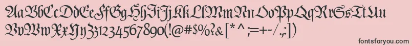 PopplFrakturCat Font – Black Fonts on Pink Background