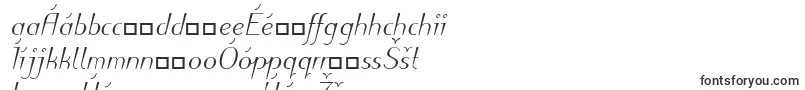 Шрифт PuritasLtMediumItalic – чешские шрифты