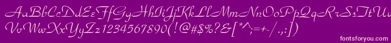 ParkavenueRegular Font – Pink Fonts on Purple Background