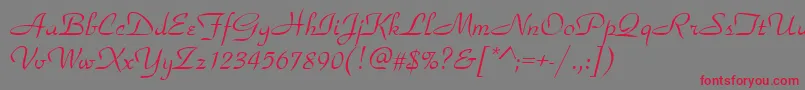ParkavenueRegular Font – Red Fonts on Gray Background