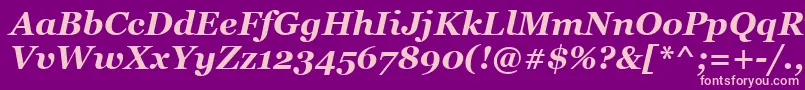 GeorgiaBoldItalic Font – Pink Fonts on Purple Background