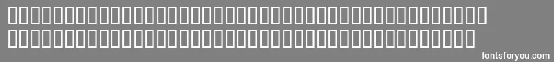 BookwomanmonoLightsh Font – White Fonts on Gray Background
