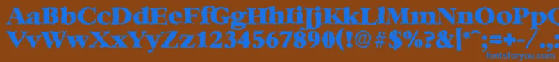 BernsteinrandomHeavyRegular Font – Blue Fonts on Brown Background