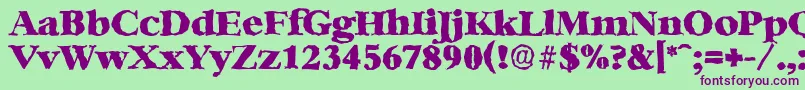 BernsteinrandomHeavyRegular Font – Purple Fonts on Green Background