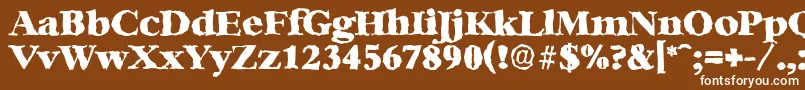 BernsteinrandomHeavyRegular Font – White Fonts on Brown Background