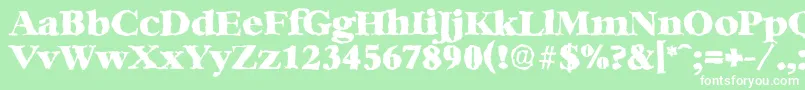 BernsteinrandomHeavyRegular Font – White Fonts on Green Background