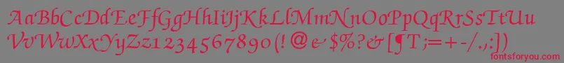ZabriskiescriptswashBold Font – Red Fonts on Gray Background