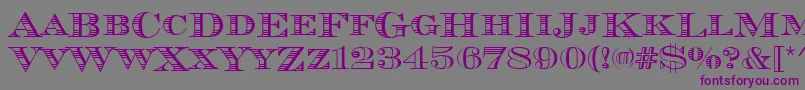 Chevalierstrdcd Font – Purple Fonts on Gray Background