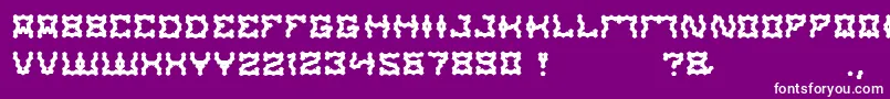ShakeItOff Font – White Fonts on Purple Background