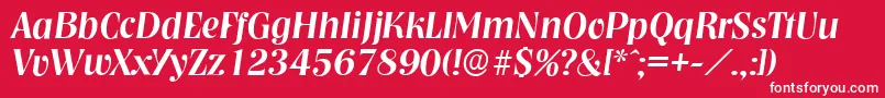 NashvilleserialMediumItalic Font – White Fonts on Red Background