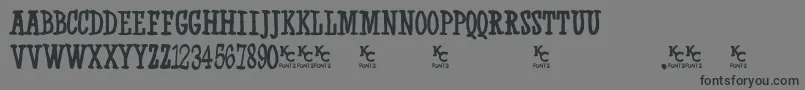 Westernswaggerdemo Font – Black Fonts on Gray Background