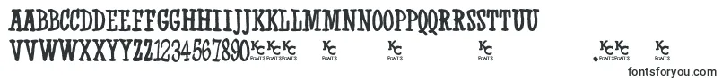 Westernswaggerdemo Font – Font Styles