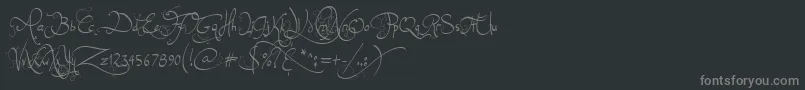 JellykaEndlessVoyage Font – Gray Fonts on Black Background