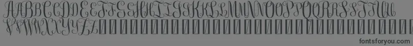 FreemonogramBeta0.5-Schriftart – Schwarze Schriften auf grauem Hintergrund