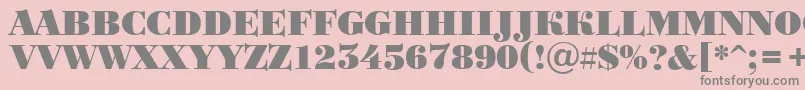 Bodoni1-Schriftart – Graue Schriften auf rosa Hintergrund