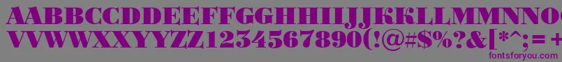 Bodoni1 Font – Purple Fonts on Gray Background