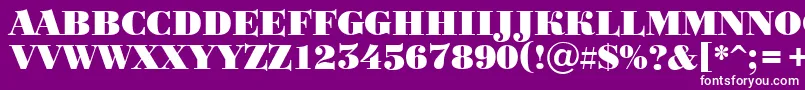 Bodoni1 Font – White Fonts on Purple Background