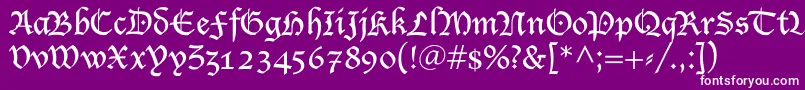 LucidaBlacklet Font – White Fonts on Purple Background